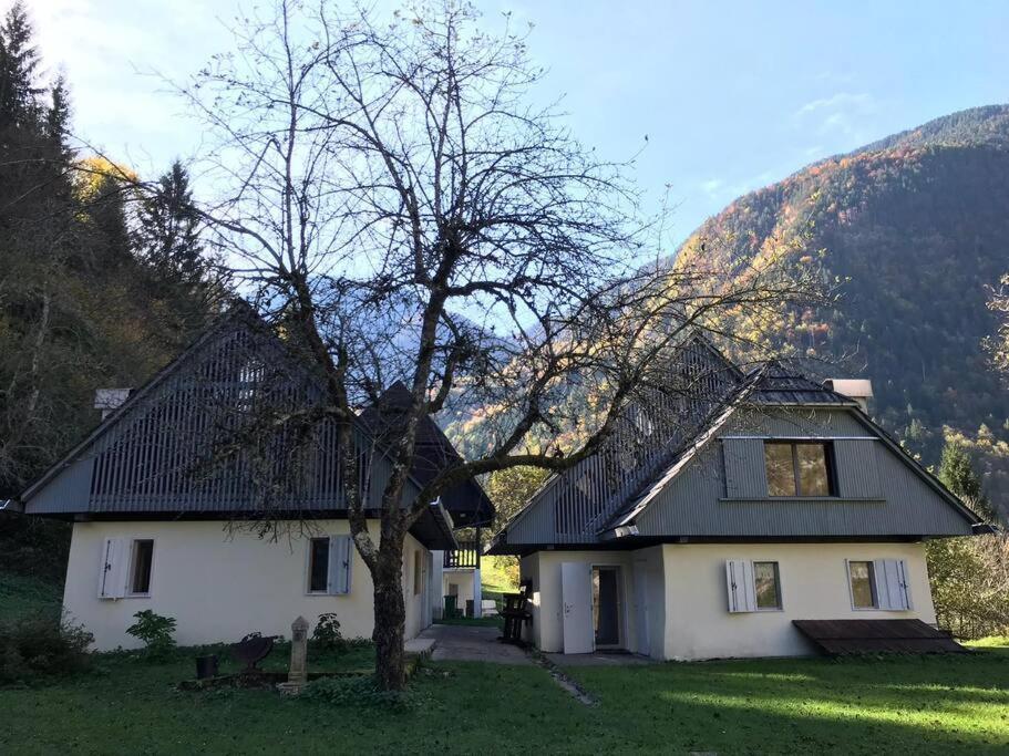 Cozy Cottage In The Heart Of The Triglav National Park Soca Exterior photo
