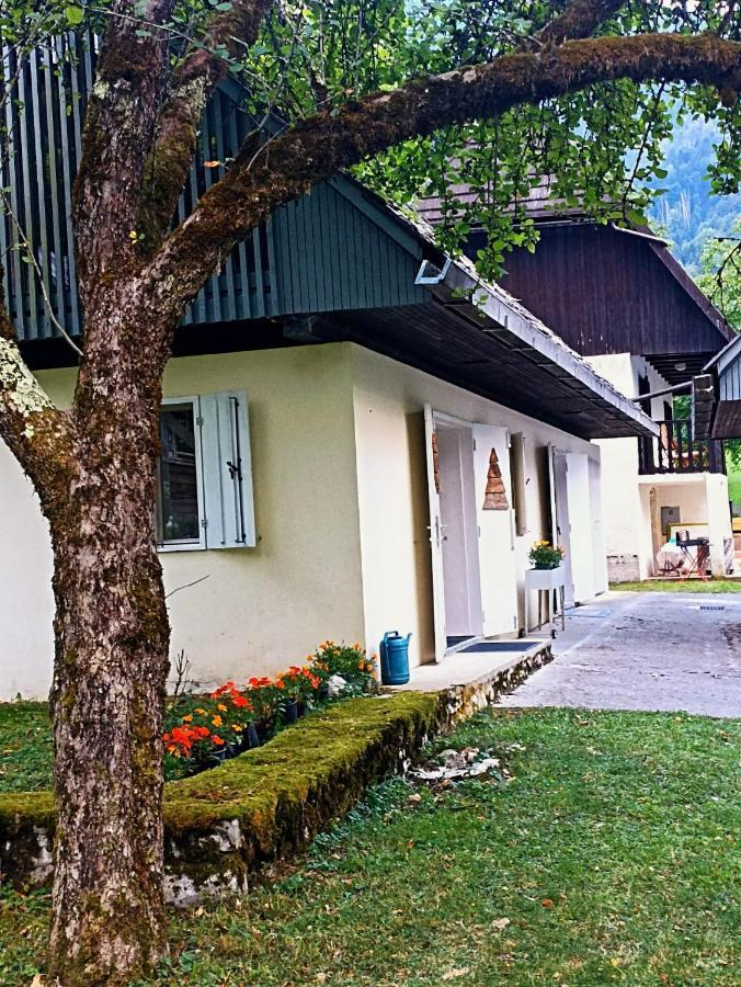 Cozy Cottage In The Heart Of The Triglav National Park Soca Exterior photo