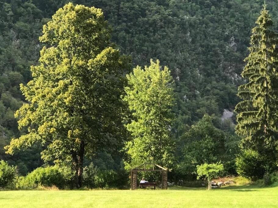 Cozy Cottage In The Heart Of The Triglav National Park Soca Exterior photo