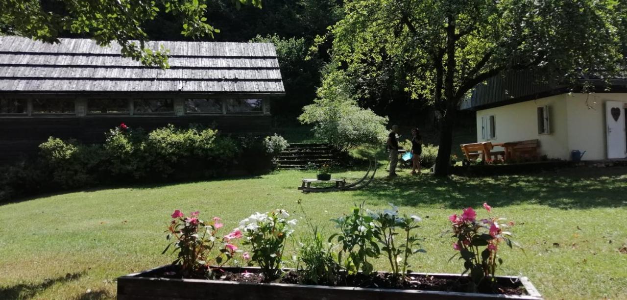 Cozy Cottage In The Heart Of The Triglav National Park Soca Exterior photo