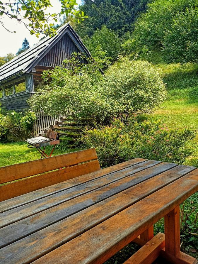 Cozy Cottage In The Heart Of The Triglav National Park Soca Exterior photo